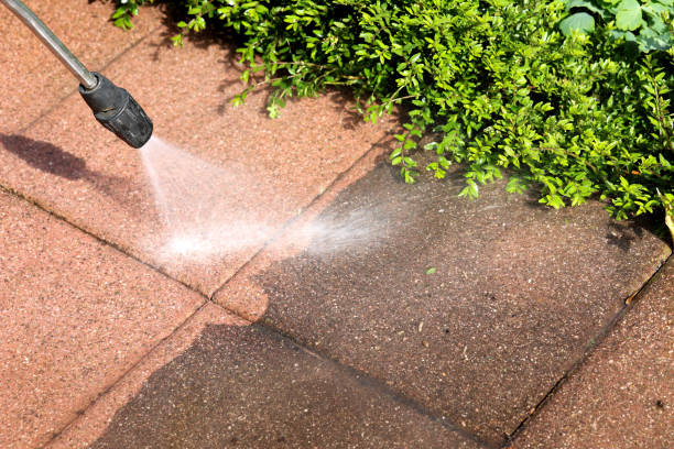 Best Roof Power Washing Services  in Cnelius, OR